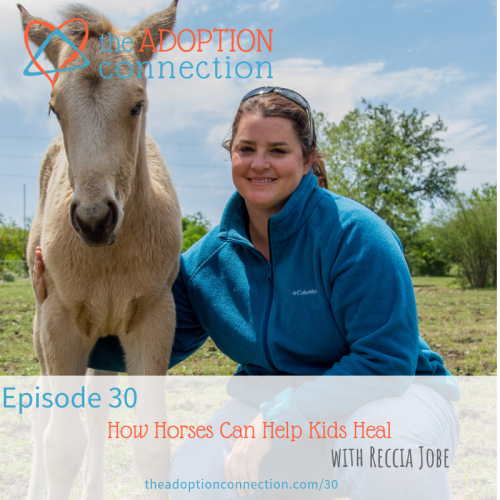 equine therapy trauma-informed adoption foster care