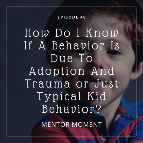 adoption, behavior, trauma