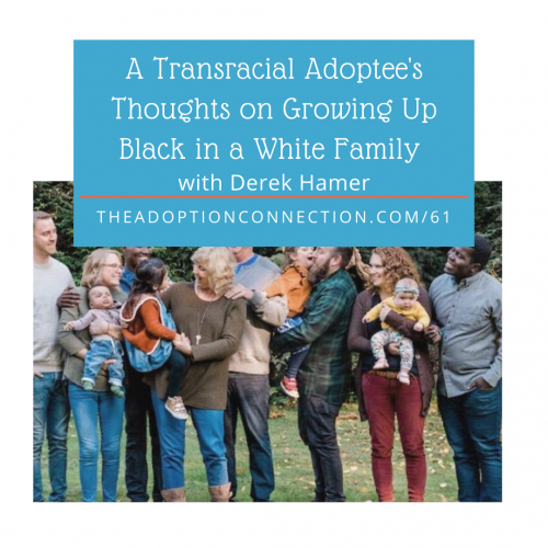 transracial adoption, adult adoptee