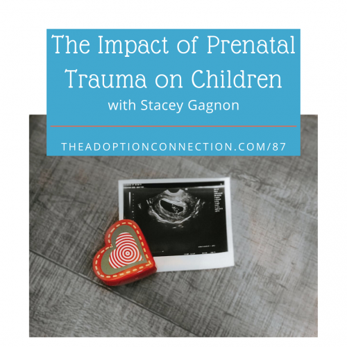 infant adoption, ACES, trauma