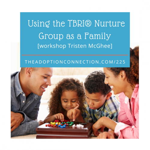 workshop, nurture group, TBRI